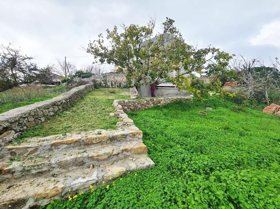 Вилла Hidden Gem Of 1900, 7Km From Sea Potamos  Экстерьер фото